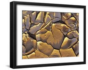 Mud Cracks, Death Valley National Park, California, USA-Chuck Haney-Framed Premium Photographic Print