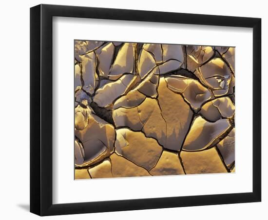 Mud Cracks, Death Valley National Park, California, USA-Chuck Haney-Framed Photographic Print