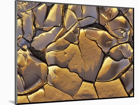 Mud Cracks, Death Valley National Park, California, USA-Chuck Haney-Mounted Photographic Print