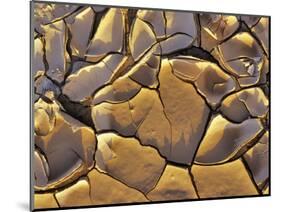 Mud Cracks, Death Valley National Park, California, USA-Chuck Haney-Mounted Photographic Print