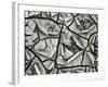 Mud Cracks, Garrapata , 1955-Brett Weston-Framed Photographic Print