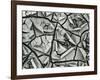 Mud Cracks, Garrapata , 1955-Brett Weston-Framed Photographic Print