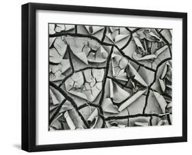 Mud Cracks, Garrapata , 1955-Brett Weston-Framed Premium Photographic Print