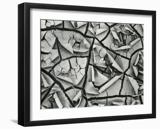 Mud Cracks, Garrapata , 1955-Brett Weston-Framed Premium Photographic Print