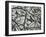 Mud Cracks, Garrapata , 1955-Brett Weston-Framed Premium Photographic Print