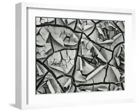 Mud Cracks, Garrapata , 1955-Brett Weston-Framed Premium Photographic Print