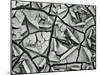 Mud Cracks, Garrapata , 1955-Brett Weston-Mounted Premium Photographic Print