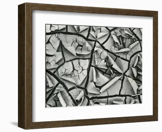 Mud Cracks, Garrapata , 1955-Brett Weston-Framed Photographic Print