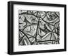 Mud Cracks, Garrapata , 1955-Brett Weston-Framed Photographic Print