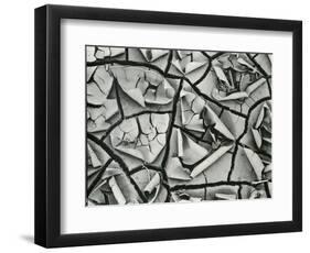 Mud Cracks, Garrapata , 1955-Brett Weston-Framed Photographic Print