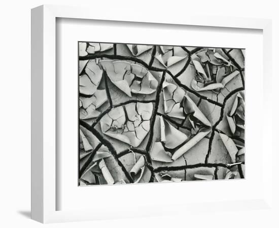 Mud Cracks, Garrapata , 1955-Brett Weston-Framed Photographic Print