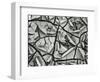 Mud Cracks, Garrapata , 1955-Brett Weston-Framed Photographic Print