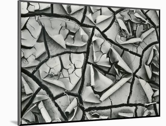 Mud Cracks, Garrapata , 1955-Brett Weston-Mounted Photographic Print