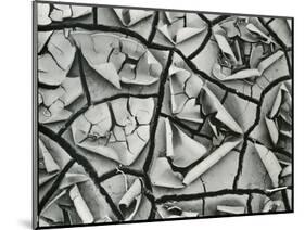 Mud Cracks, Garrapata , 1955-Brett Weston-Mounted Photographic Print