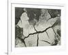 Mud Cracks, Salinas Valley, California, 1955-Brett Weston-Framed Photographic Print