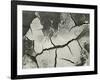 Mud Cracks, Salinas Valley, California, 1955-Brett Weston-Framed Photographic Print