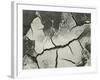 Mud Cracks, Salinas Valley, California, 1955-Brett Weston-Framed Photographic Print