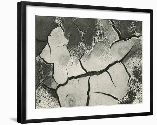 Mud Cracks, Salinas Valley, California, 1955-Brett Weston-Framed Photographic Print