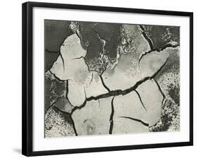 Mud Cracks, Salinas Valley, California, 1955-Brett Weston-Framed Photographic Print