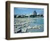 Mud Island, Memphis, TN-Mark Gibson-Framed Photographic Print