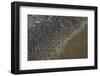 Mud Patterns on Beach. East Guyana-Pete Oxford-Framed Photographic Print