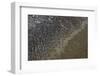 Mud Patterns on Beach. East Guyana-Pete Oxford-Framed Photographic Print