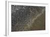 Mud Patterns on Beach. East Guyana-Pete Oxford-Framed Photographic Print