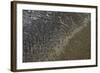 Mud Patterns on Beach. East Guyana-Pete Oxford-Framed Photographic Print