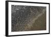 Mud Patterns on Beach. East Guyana-Pete Oxford-Framed Photographic Print