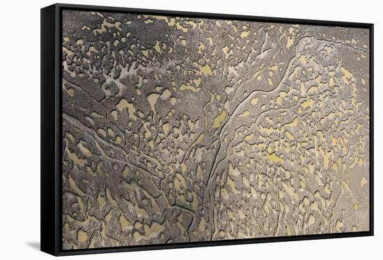 Mud Patterns on Beach. East Guyana-Pete Oxford-Framed Stretched Canvas