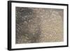 Mud Patterns on Beach. East Guyana-Pete Oxford-Framed Photographic Print