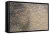 Mud Patterns on Beach. East Guyana-Pete Oxford-Framed Stretched Canvas