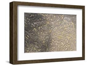 Mud Patterns on Beach. East Guyana-Pete Oxford-Framed Photographic Print