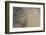 Mud Patterns on Beach. East Guyana-Pete Oxford-Framed Photographic Print