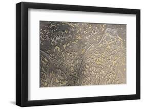 Mud Patterns on Beach. East Guyana-Pete Oxford-Framed Photographic Print