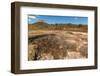 Mud Pots, Fumaroles and Dormant Volcan Santa Clara at the San Jacinto Volcanic Thermal Area-Rob Francis-Framed Photographic Print