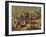 Mud Village, Sanga Region, Dogon, Mali, Africa-Bruno Morandi-Framed Photographic Print