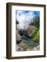 Mud Volcano, Yellowstone National Park, Wyoming, USA-Roddy Scheer-Framed Photographic Print