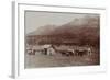 Mud Wagon/ Stagecoach At Log Cabins, ca. 1880s-Armington-Framed Art Print