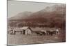 Mud Wagon/ Stagecoach At Log Cabins, ca. 1880s-Armington-Mounted Art Print