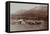 Mud Wagon/ Stagecoach At Log Cabins, ca. 1880s-Armington-Framed Stretched Canvas