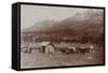 Mud Wagon/ Stagecoach At Log Cabins, ca. 1880s-Armington-Framed Stretched Canvas