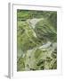 Mud-Walled Rice Terraces of Ifugao Culture, Banaue, UNESCO World Heritage Site, Luzon, Philippines-null-Framed Photographic Print