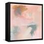 Muddled Apricot II-Jennifer Parker-Framed Stretched Canvas