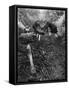 Muddy Cyclists-null-Framed Stretched Canvas