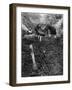 Muddy Cyclists-null-Framed Photographic Print