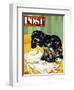 "Muddy Paw Prints," Saturday Evening Post Cover, December 6, 1947-Albert Staehle-Framed Premium Giclee Print