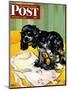 "Muddy Paw Prints," Saturday Evening Post Cover, December 6, 1947-Albert Staehle-Mounted Premium Giclee Print