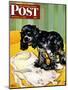 "Muddy Paw Prints," Saturday Evening Post Cover, December 6, 1947-Albert Staehle-Mounted Premium Giclee Print