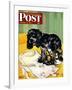 "Muddy Paw Prints," Saturday Evening Post Cover, December 6, 1947-Albert Staehle-Framed Giclee Print